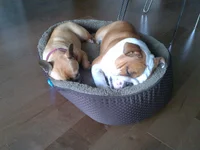 IMG-20131009-01185.webp