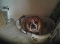 20130713_084535.webp