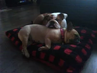 IMG-20130902-00796.webp