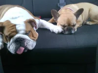 IMG-20131006-01160.webp