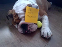 IMG-20130728-00375.webp