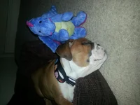 sleeps1.webp