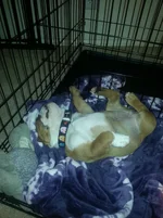sleeps5.webp