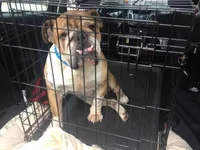 Louie - New Orleans.webp