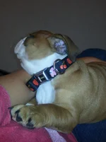 sleeps3.webp