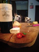 Wine 1.webp