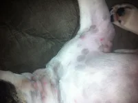 IMG_7313[1].webp