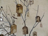 Engraved Wood Photo Tags - Organic Display CU.jpg Engraved Wood Photo Tags - Organic Display CU.jpg