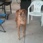 Sasha.webp