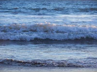 DSCN0571.webp