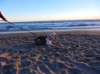 DSCN0566.webp
