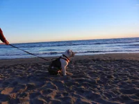 DSCN0564.webp