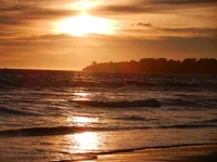 DSCN0563.webp
