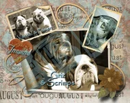 calendar sneek peak.webp