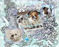 calendar sneek peak3.webp