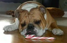 DSCN5153.webp