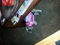 20140120_163637.webp