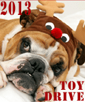 toydrive2013.png