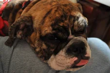 BaileyT01.webp