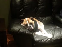 20140121_203310.webp
