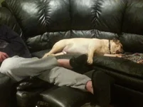 20140121_203307.webp