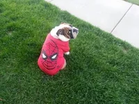 20130513_184501_2.webp