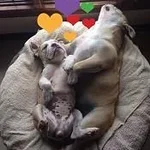 attachmentBYKRC234.webp attachmentBYKRC234.webp