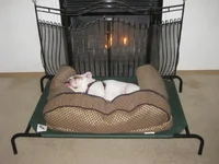 IMG_0270 (3).webp