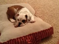 image-1.webp