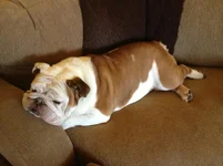 Loungin.webp