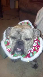 2012-12-09_20-15-28_594.webp