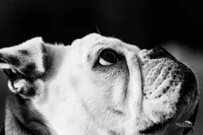 BW Looking Up.webp