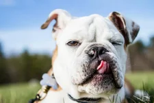 winking.webp