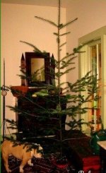 Charlie-Brown-Christmas-Tree..jpg