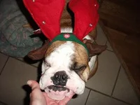 grinch 001.webp
