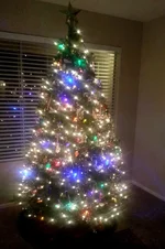 Tree.webp Tree.webp
