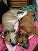 spooning.jpg spooning.jpg
