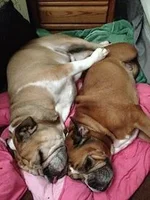 spooning.webp