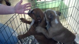 2012-02-01_12-24-39_710.jpg