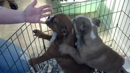 2012-02-01_12-24-39_710.webp
