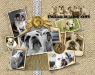 CoverPage.webp