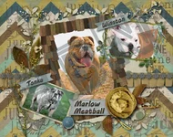 calendar sneek peak4.webp