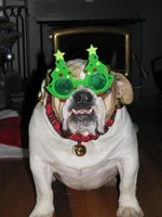 2013-12-03 12.31.55.webp