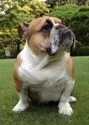 I rule.webp