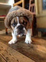 In coat.jpg In coat.jpg