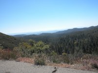 DSCN4756.jpg