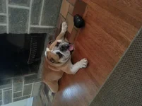 20130810_183009.webp