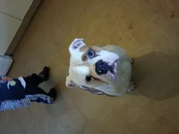 20140124_113526.webp