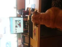 20130828_102413.webp