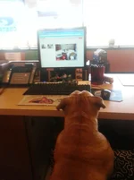 20130828_102413.webp